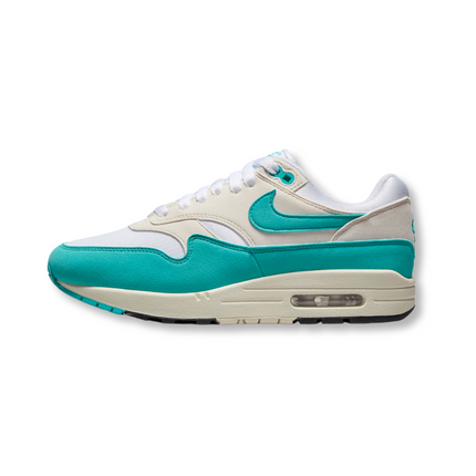 Nike Air Max 1 'Dusty Cactus Phantom' (Women's)