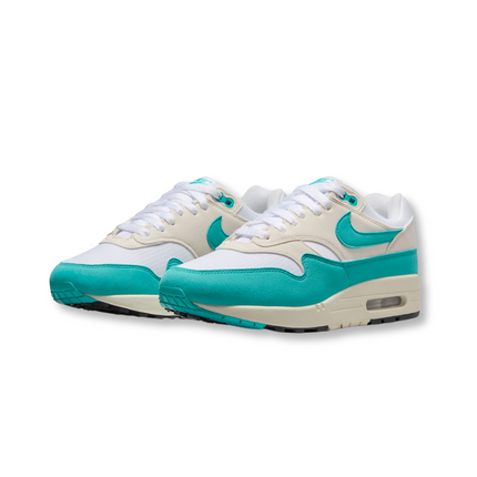 Nike Air Max 1 'Dusty Cactus Phantom' (Women's)