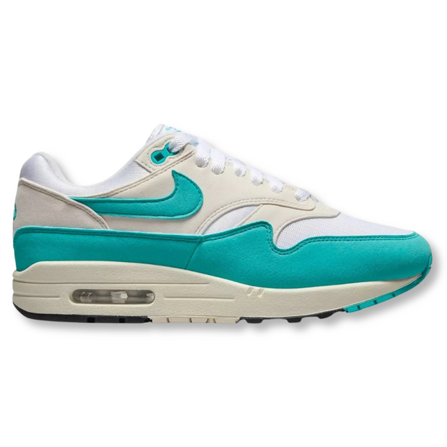 Nike Air Max 1 'Dusty Cactus Phantom' (Women's)